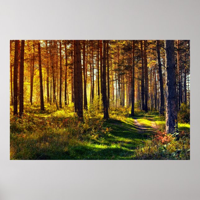 Affiches Forêt de septembre (Devant)