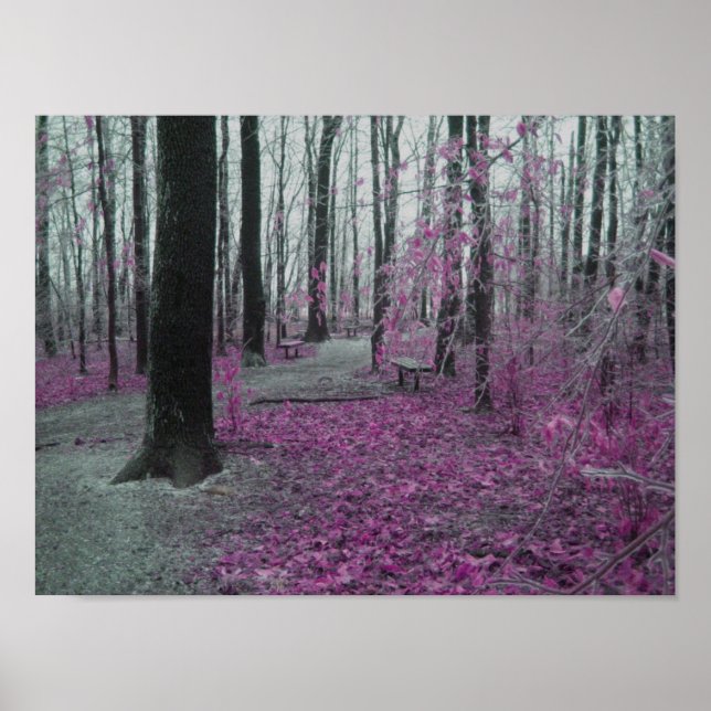 Affiches Forêt d'hiver (Devant)