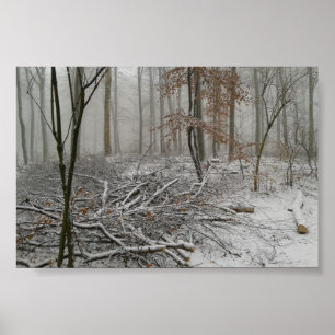 Affiches Forêt hivernale neige