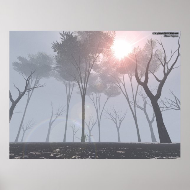 Affiches Forêt Morte Dans Le Brouillard (Devant)