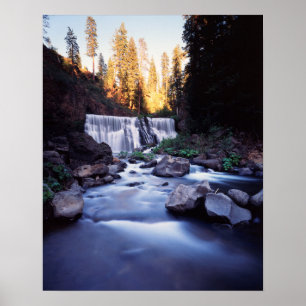 Affiches Forêt nationale de Californie, Shasta-Trinity