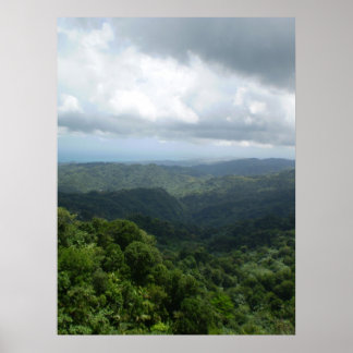 Affiches Forêt nationale d'El Yunque