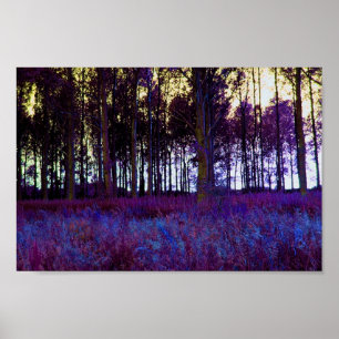 Affiches Forêt pourpre