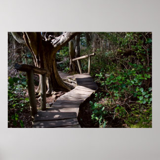 Affiches Forêt Rainforest Boardwalk with Steps Imprimer