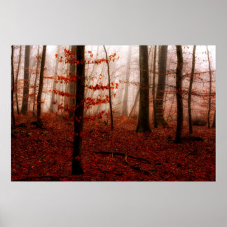 Affiches Forêt sauvage rouge brumeux hiver sans neige