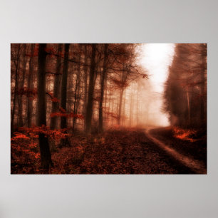 Affiches Forêt snowless d'hiver brumeux rouge dramatique
