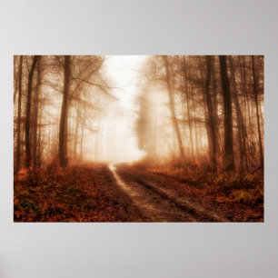 Affiches Forêt snowless d'hiver brumeux rouge dramatique