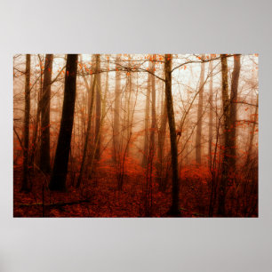 Affiches Forêt snowless d'hiver brumeux rouge dramatique