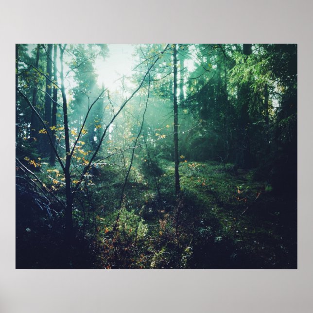 Affiches Forêt suédoise (Devant)