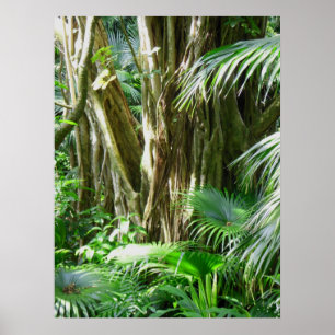 Affiches Forêt tropicale tropicale hawaïenne