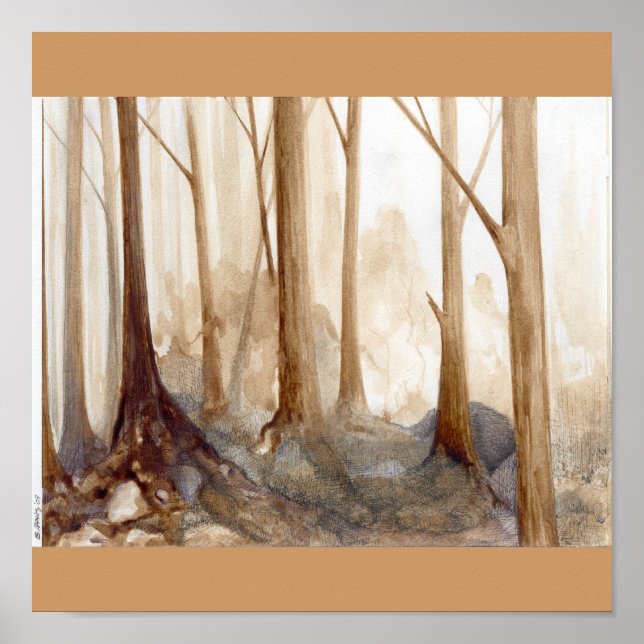 Affiches ForêtBrune (Devant)