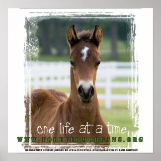 Affiches ForeverMorgans : Une vie à la fois