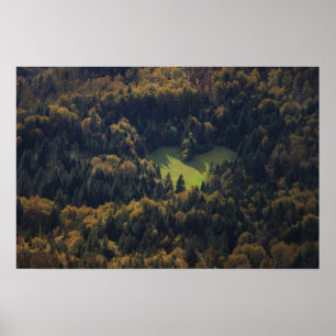 Affiches Forme cardiaque dans une forêt en Slovénie