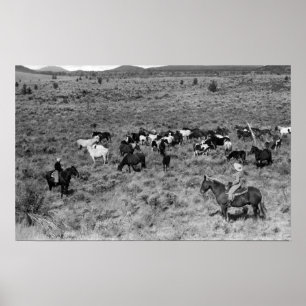 Affiches Fort Rock, Oregon Cowboy dans le jardin du diable