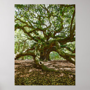 Affiches Forte Et Grave