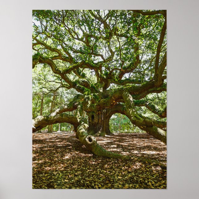 Affiches Forte Et Grave (Devant)