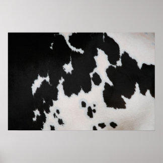 Affiches Fourrure de vache