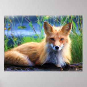 Affiches Fox