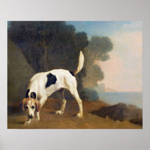 Affiches Fox-hound de George Stubbs   sur le parfum, c.1760