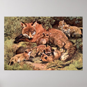 Affiches Fox Vixen with Cubs by Austen, Vintage Wild Animal