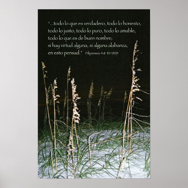 Affiches Frais 4-8b (Devant)