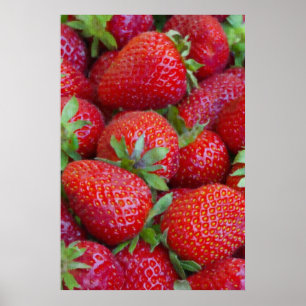Affiches Fraise