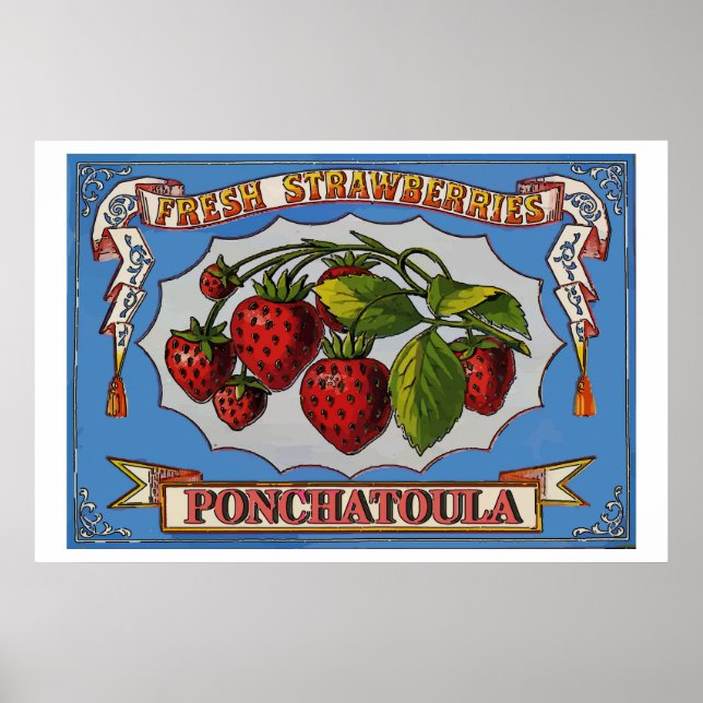 Affiches Fraises de Ponchatoula, LA (Devant)
