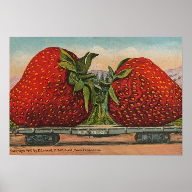 Affiches Fraises Géant Antique Fruit Amusement (Devant)