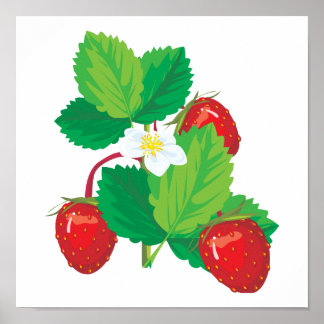 Affiches fraises juteuses