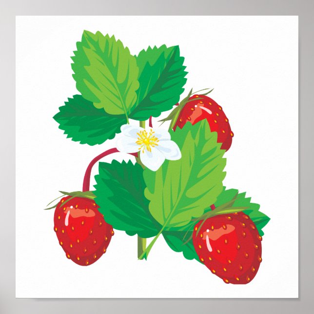 Affiches fraises juteuses (Devant)