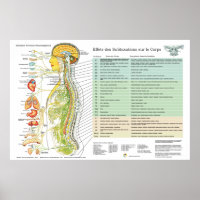Français ANS Subluxations Effets Chiropratique