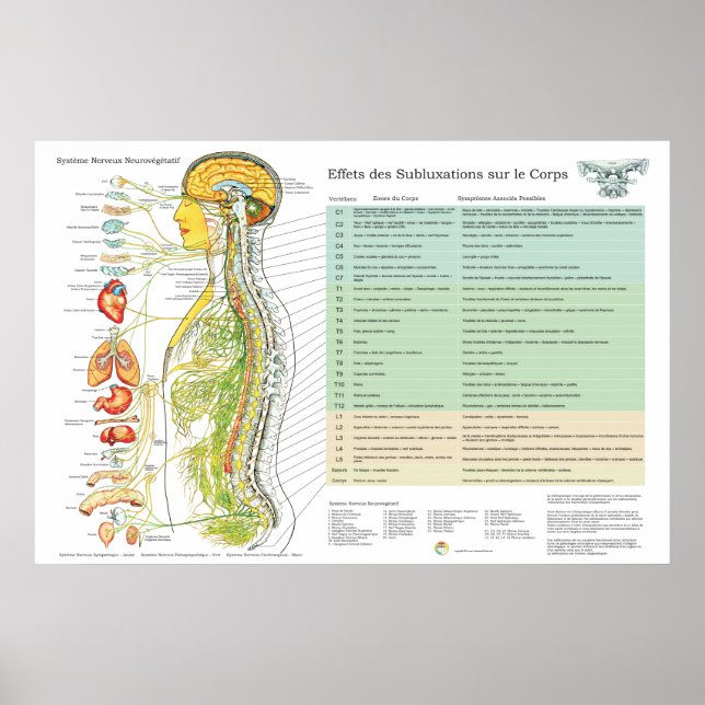 Affiches Français ANS Subluxations Effets Chiropratique (Devant)