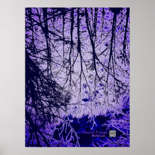 Affiches Franges neuronales