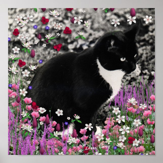 Affiches Frappes en Fleurs II - Tuxedo Kitty Cat (Devant)