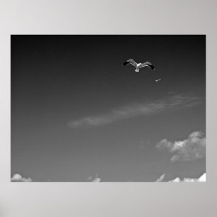 Affiches Freedom in BW