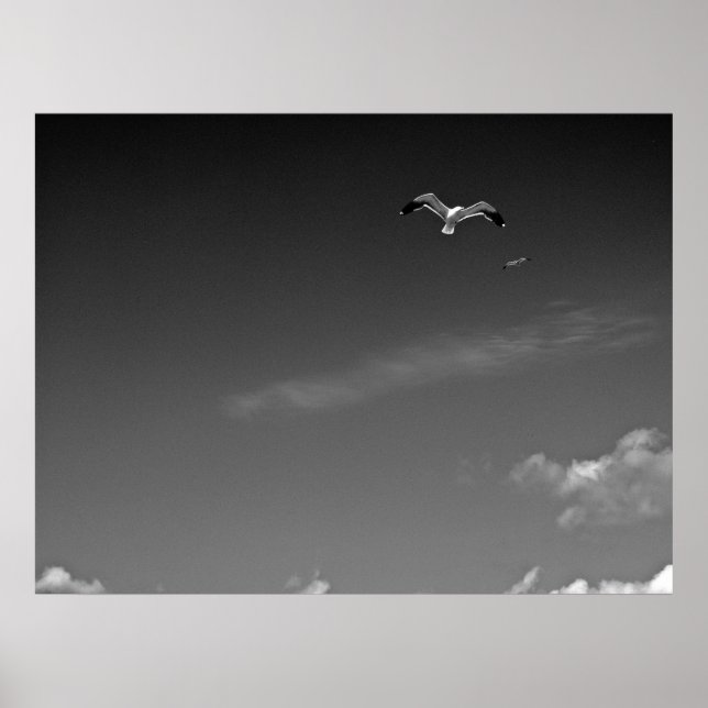 Affiches Freedom in BW (Devant)