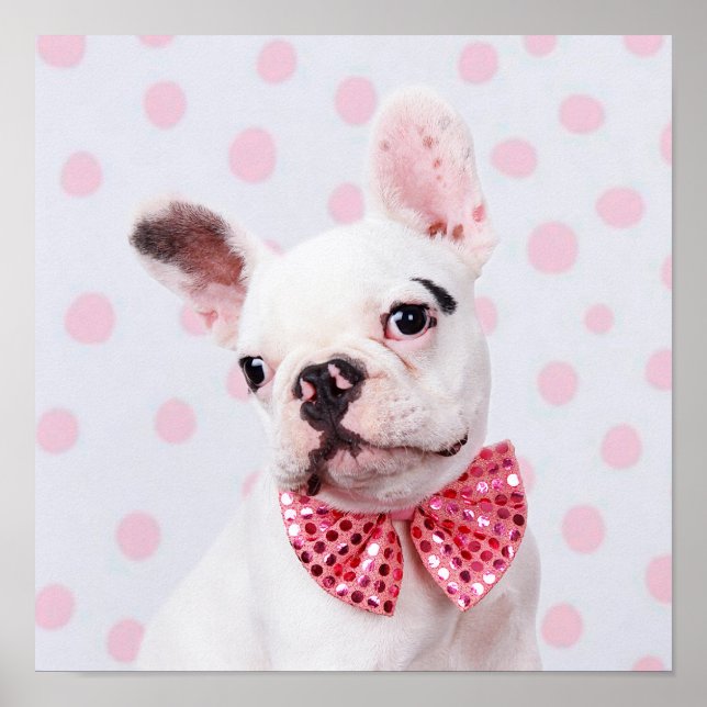 Affiches French Bulldog Puppy With Polka Dots (Devant)