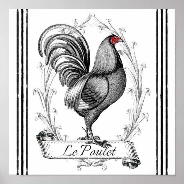 Affiches French Rooster Le Poulet (Devant)