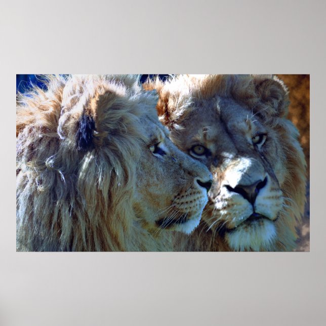 Affiches Frères (Devant)