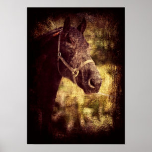 Affiches Fresian Grunge