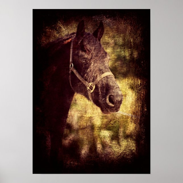 Affiches Fresian Grunge (Devant)