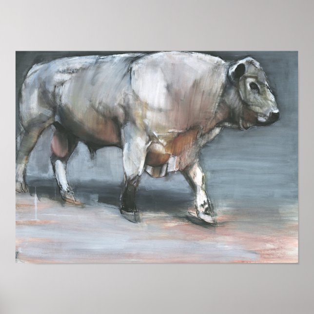 Affiches Fresno Galloway Bull (Devant)