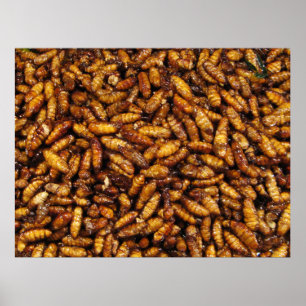 Affiches Fried Silk Worms ... Thai Street Food