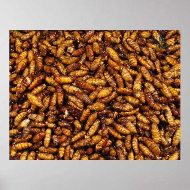 Affiches Fried Silk Worms ... Thai Street Food (Devant)