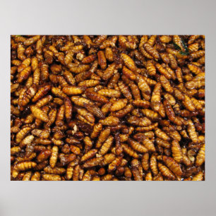 Affiches Fried Silk Worms ... Thai Street Food