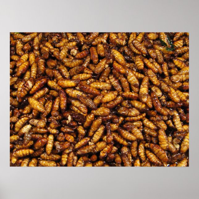 Affiches Fried Silk Worms ... Thai Street Food (Devant)