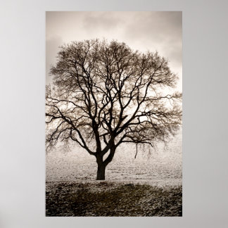 Affiches froid et agréable