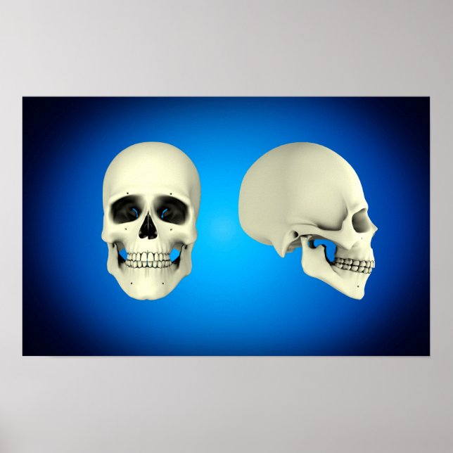 Affiches Front View And Side View Of Human Skull (Devant)