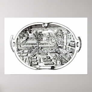 Affiches Frontispice, "du Herball", par John Gerard (