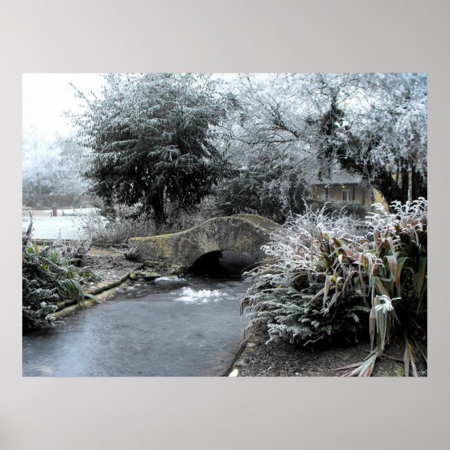 Affiches Frost et glace dans un jardin Somerset (Devant)